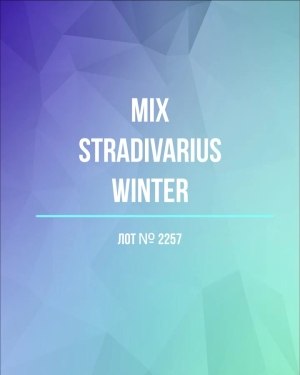 Купить STRADIVARIUS Winter mix#15 кг, ЛОТ №2257 оптом в Петропавловске-Камчатском и Камчатском крае