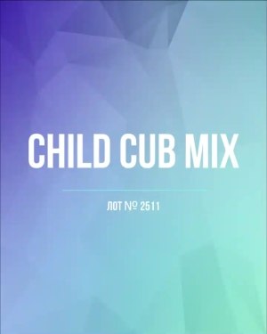 Купить CUBUS детский микс лето (Children CUBUS mix)#15 кг, ЛОТ №2511 оптом в Петропавловске-Камчатском и Камчатском крае