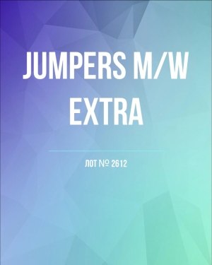 Купить Джемпер муж+жен экстра#15 кг , Лот№2612 оптом в Петропавловске-Камчатском и Камчатском крае