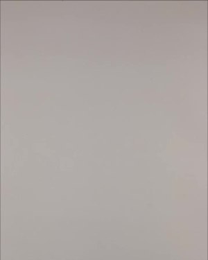 Фотография  918 - Нижнее белье Bon Prix дети#50 шт, ЛОТ №3242 оптом в Петропавловске-Камчатском и Камчатском крае