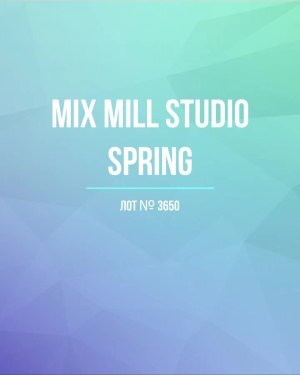 Купить MILL STUDIO Spring mix#15 кг, ЛОТ №3650 оптом в Петропавловске-Камчатском и Камчатском крае