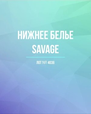 Купить Нижнее белье Savage, 50 шт, ЛОТ №4036 оптом в Петропавловске-Камчатском и Камчатском крае
