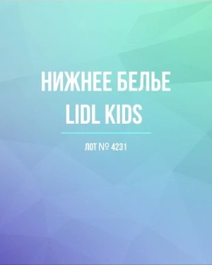 Купить Нижнее белье LIDL Kids#5 кг, ЛОТ №4231 оптом в Петропавловске-Камчатском и Камчатском крае