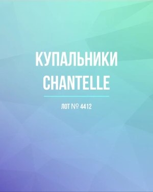 Купить Купальники Chantelle#23 шт, ЛОТ №4412 оптом в Петропавловске-Камчатском и Камчатском крае