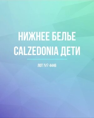 Купить Детское нижнее белье CALZEDONIA, 40 шт, ЛОТ №4446 оптом в Петропавловске-Камчатском и Камчатском крае