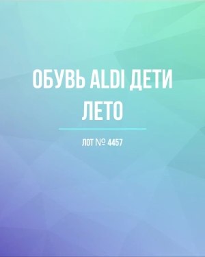 Купить Обувь ALDI дети лето#10 кг, ЛОТ №4457 оптом в Петропавловске-Камчатском и Камчатском крае
