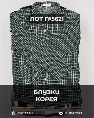 Купить Блузки Корея#20 шт, ЛОТ №5621 оптом в Петропавловске-Камчатском и Камчатском крае
