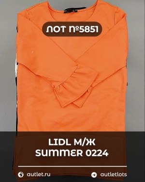 Купить LIDL Summer м/ж 022024#14 кг, ЛОТ №5851 оптом в Петропавловске-Камчатском и Камчатском крае