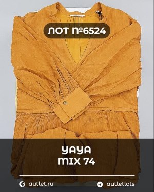 Купить YA YA 062024#39 шт, ЛОТ №6524 оптом в Петропавловске-Камчатском и Камчатском крае