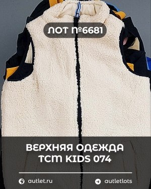 Купить Верхняя одежда TCM kids 074#7 кг, ЛОТ №6681 оптом в Петропавловске-Камчатском и Камчатском крае