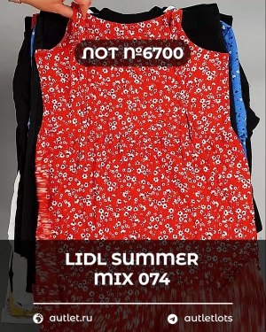 Купить LIDL Summer mix 074#15 кг, ЛОТ №6700 оптом в Петропавловске-Камчатском и Камчатском крае