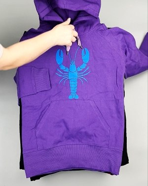 Фотография  670 - Толстовки м/ж (Sweat Tops)#20 кг, ЛОТ №7431 оптом в Петропавловске-Камчатском и Камчатском крае