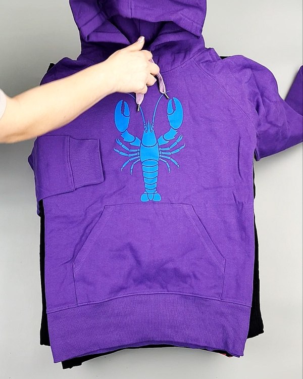 Фотография  739 - Толстовки м/ж (Sweat Tops)#20 кг, ЛОТ №7431 оптом в Петропавловске-Камчатском и Камчатском крае