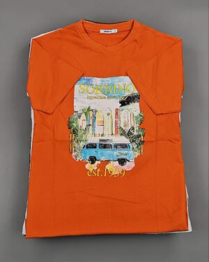 Купить Футболки мужские C-3141 (MEN T-shirt Sorbino) #4,8 кг оптом в Петропавловске-Камчатском и Камчатском крае