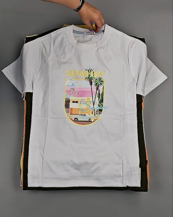 Фотография  695 - Футболки мужские C-3141 (MEN T-shirt Sorbino) #4,8 кг, ЛОТ №8835 оптом в Петропавловске-Камчатском и Камчатском крае