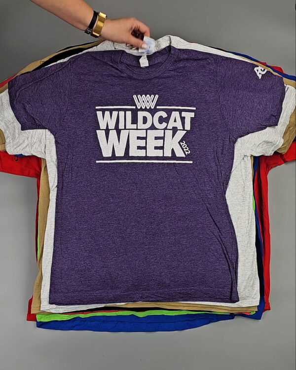 Фотография  596 - Футболки м/ж (Super T-Shirts Printed)#10 кг, ЛОТ СХ-0271 оптом в Петропавловске-Камчатском и Камчатском крае